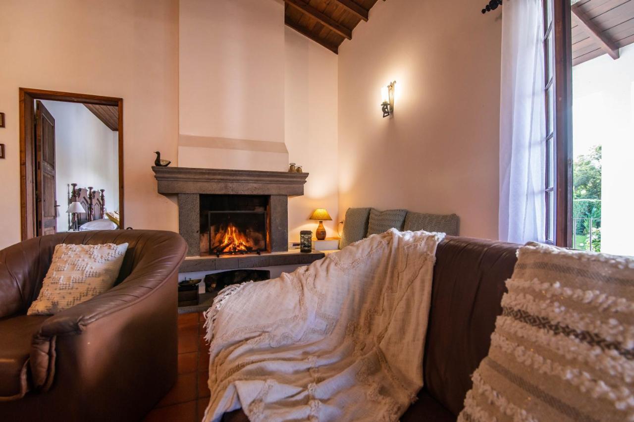 Вилла Casa Do Pinheiro With Shared Swimming Pool Сан-Висенти-Феррейра Экстерьер фото